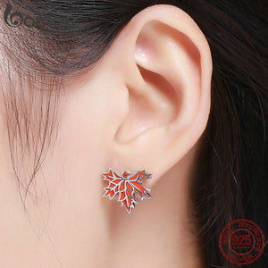 100% 925 Sterling Silver Autumn Maple Tree Leave Stud Earrings