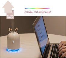 Load image into Gallery viewer, Elegant Air Humidifier Essential Oil Diffuser